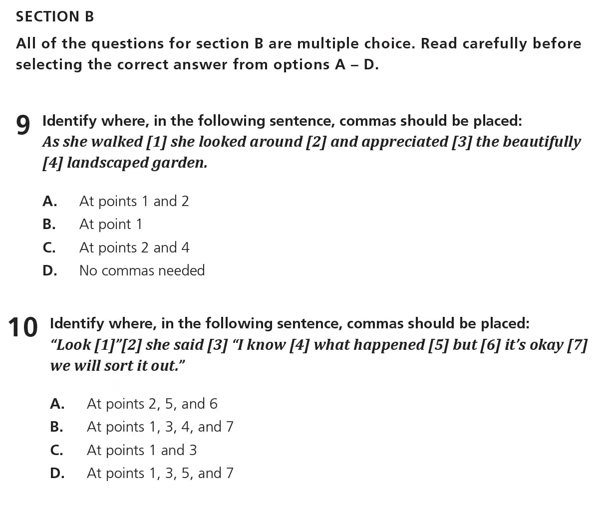 Question 05 - 11+ Free SPaG Punctuation - Test Paper 1