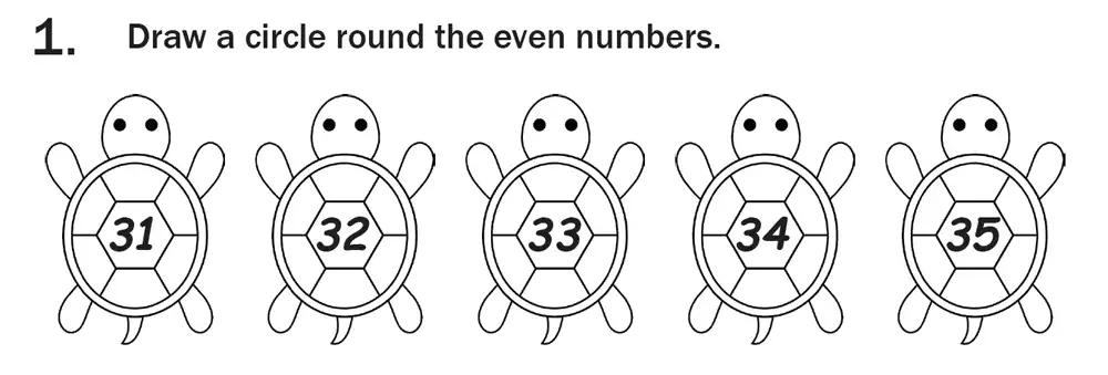 Question 01 - 7 Plus Maths Test Paper 1