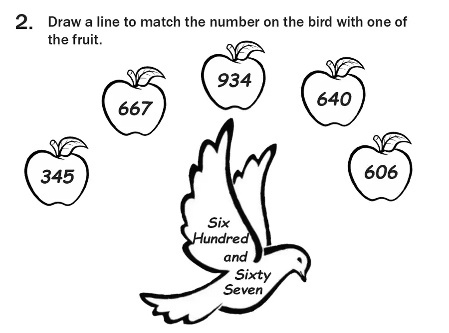 Question 02 - 7 Plus Maths Test Paper 1