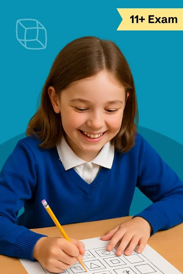 11+ NVR Summer Intensive Course - image