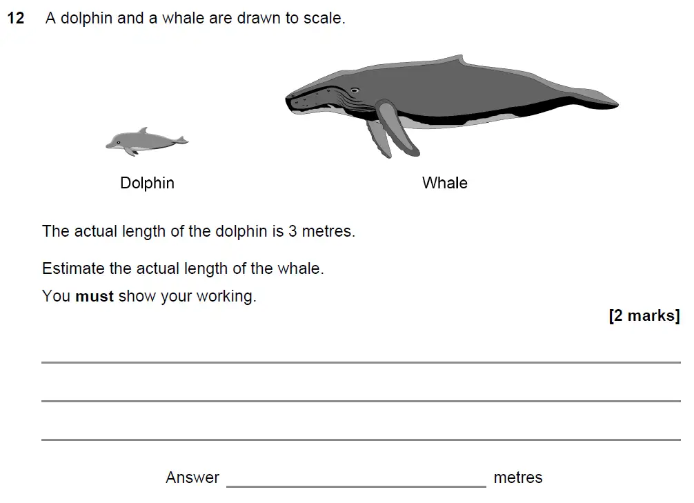Question 13 - GCSE AQA Foundation Maths Past Paper 3 (Calculator) - November 2021